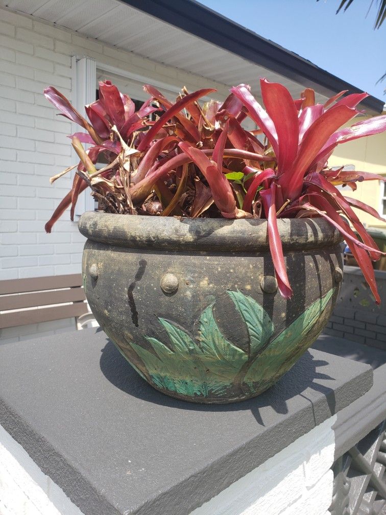 Garden Pot with Plant