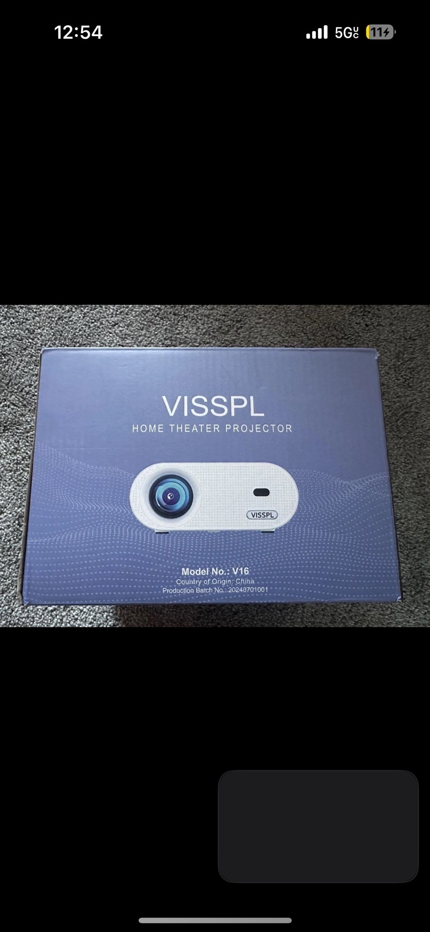 VISSPL Mini Projector
