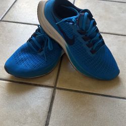 Nike Male Blue 11.5 Shoes