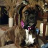 Cheryl M