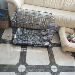 Dog Create/Kennel