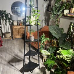 Corner Shelf Stack W/back Light And Remote