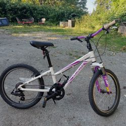 Specialized Hotrock