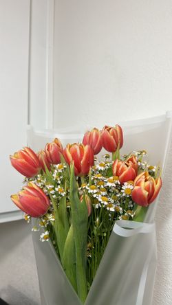 Tulip Bouquet