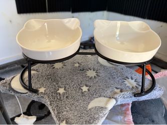 Cat Bowls