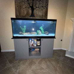 75gal Fish Tank