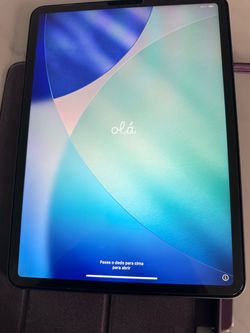 iPad Pro 256
