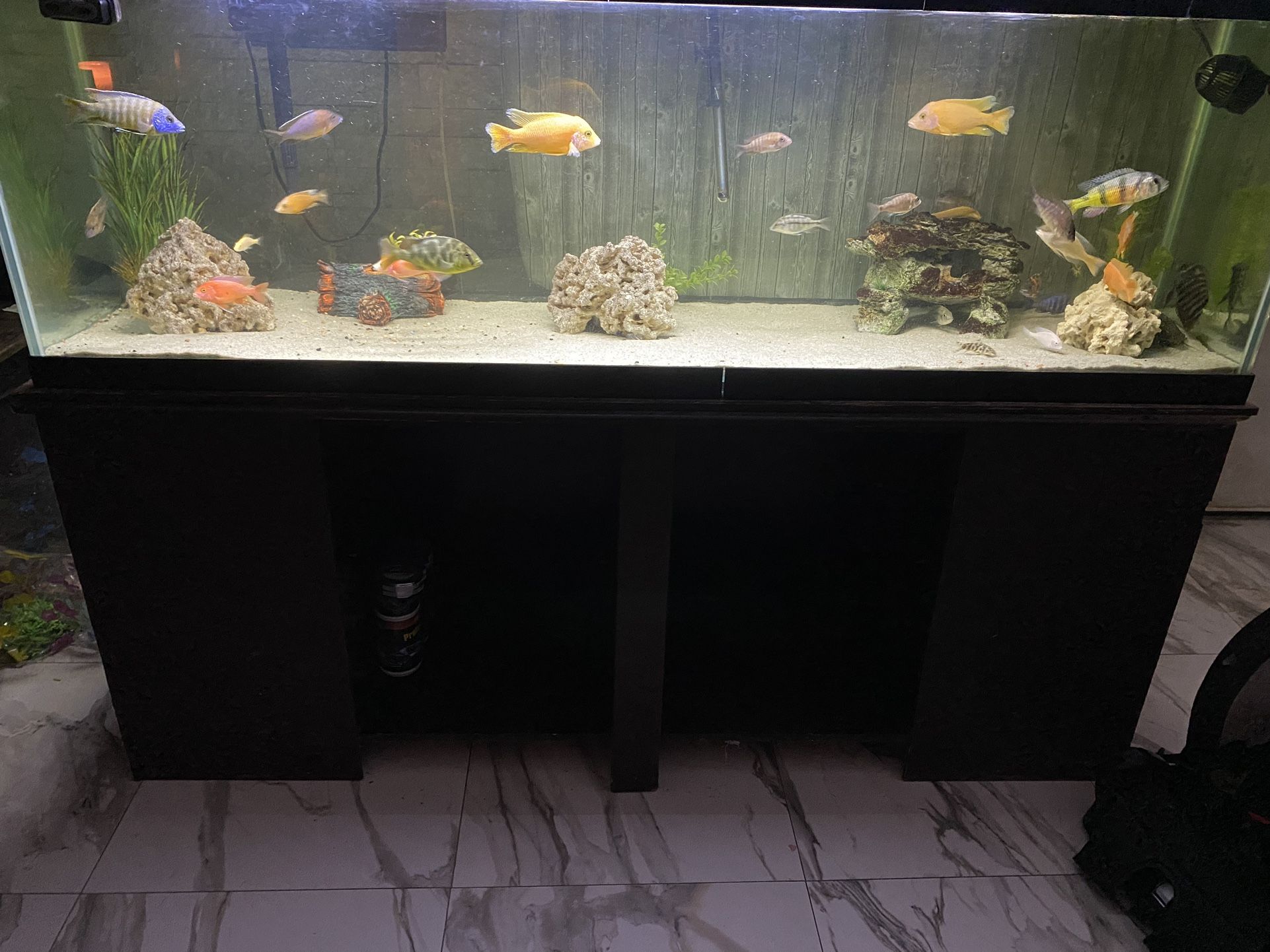120 Gallon Tank An 75 Gallon Available