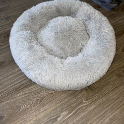 Pet Bed 