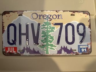 Faux license plates