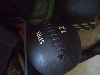 Spri 12 lb wall ball