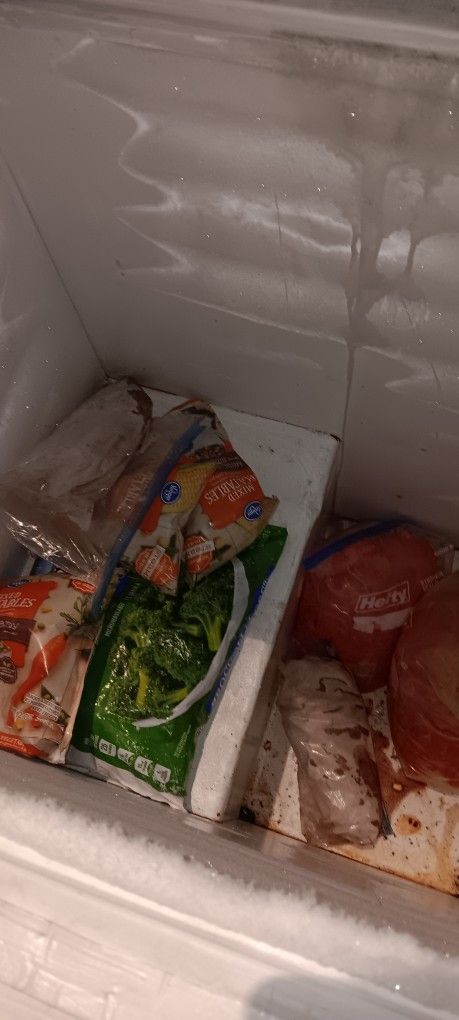 Lil Freezer