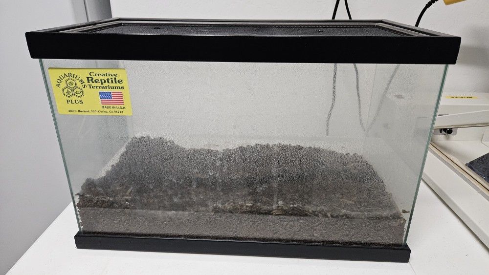 Reptile Terarium