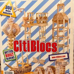 Citiblocs 300 Piece Set Rare
