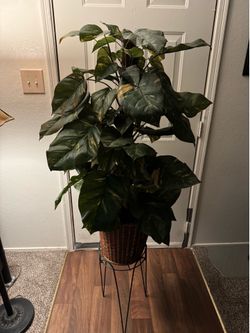 Fake plant