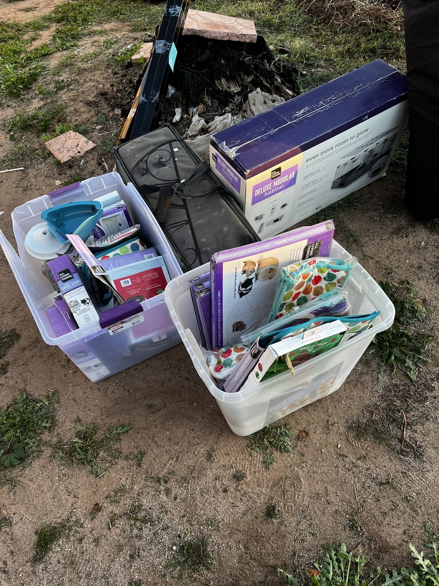 Pet Supplies And Accessories 