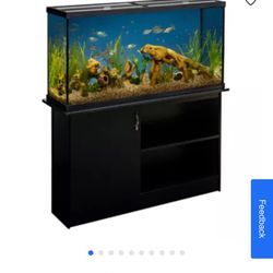 65 Gallon Fish Tank