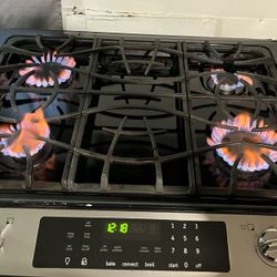 Gas Stove 