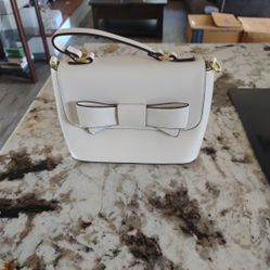 Charming Charlie Purse