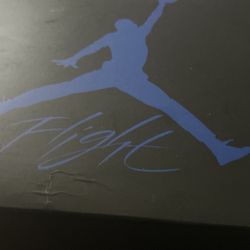 Jordan 4s