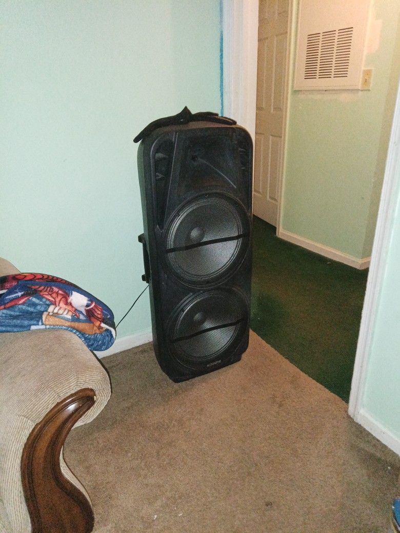 Big Speaker 44in