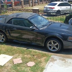 2000 Ford Mustang