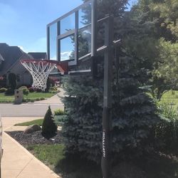 Goaliath 54 inch in ground basketball hoop, adjustable basketball court