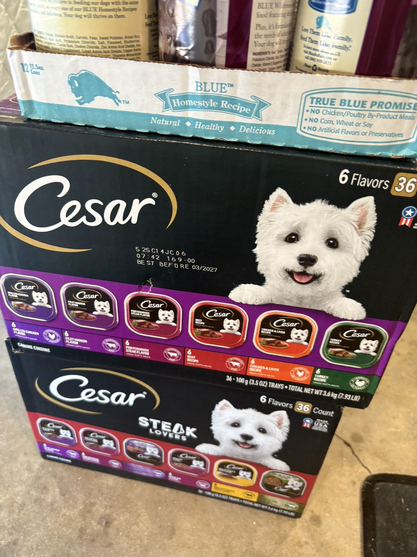 Cesar’s Dog Food 36 Count
