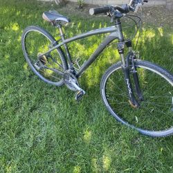 Mountain Bike Specialize