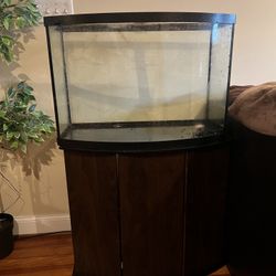 Fish Tank and Stand