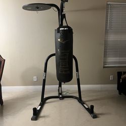 ever last punching bag 