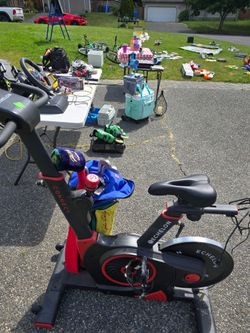 GARAGE SALE AND LEMONADE STAND