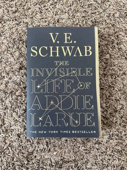 Fantasy novel - book
