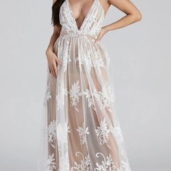 Sheer Dress Used For engagement pictures