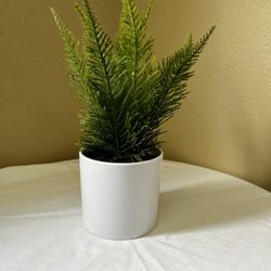 Fake House Plant 