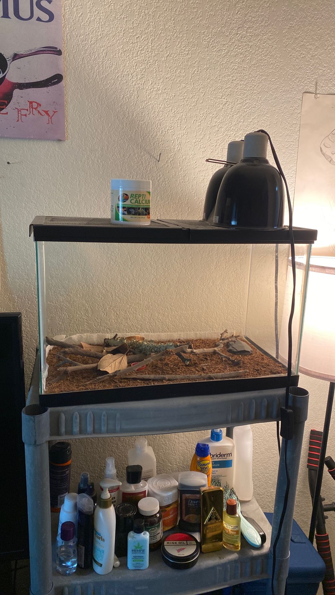 Reptile Enclosure 