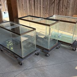 3 - Fish Aquariums 