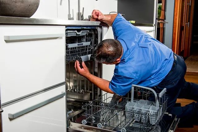 Dishwasher / Repair 