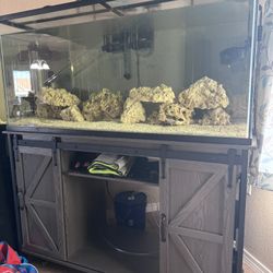 75 Gallon Fish Tank, Stand, Live Rock And Regular Rock (Salt Water)