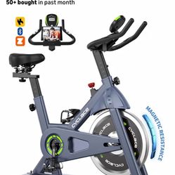 Cyclace Exercise Bike 