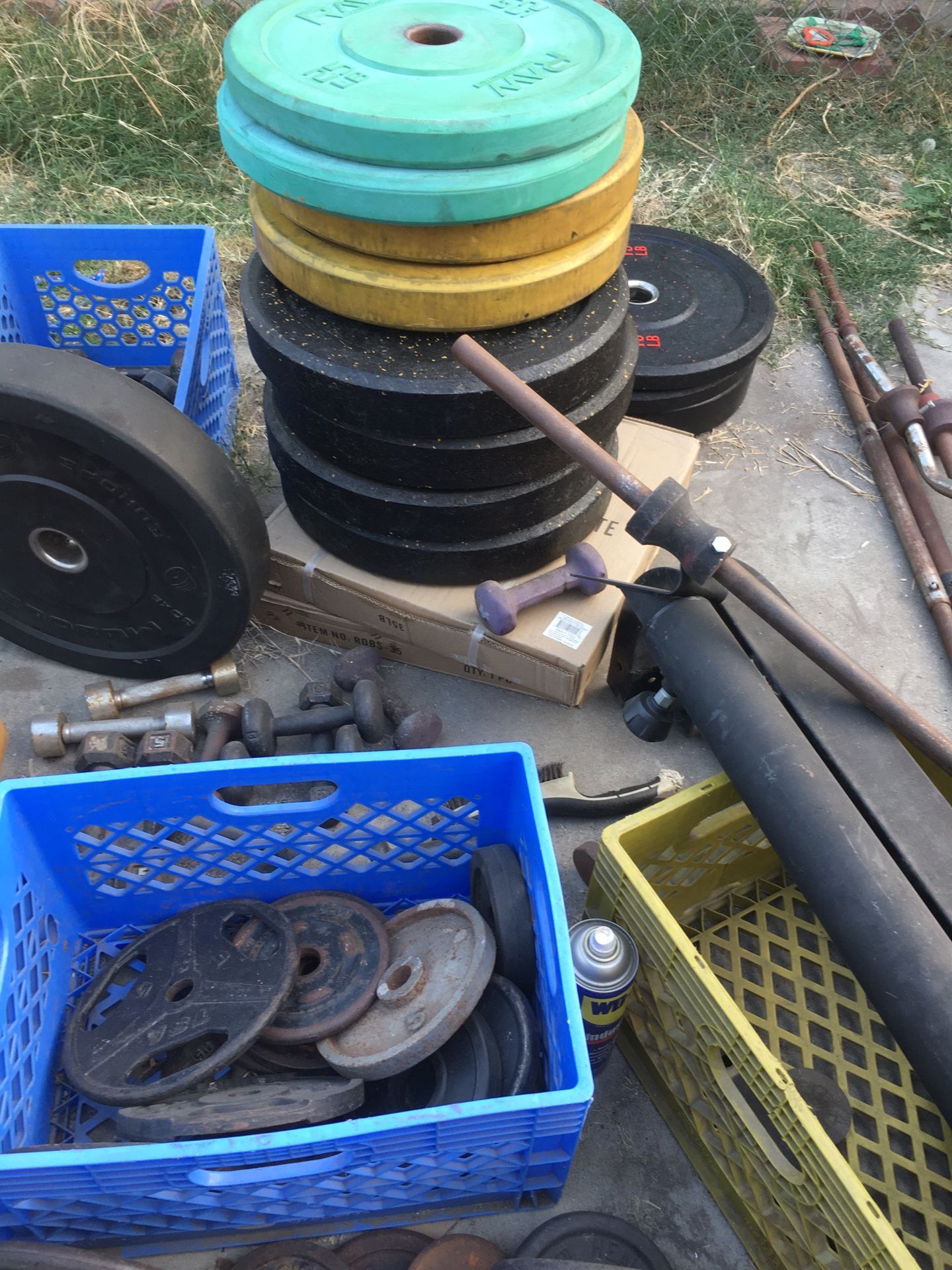 Bumper plates Olympic weights CrossFit