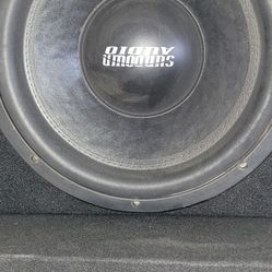 12" Subwoofer 