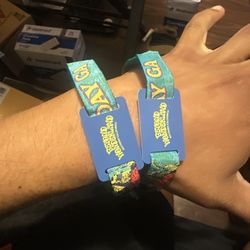 Beyond Wonderland GA Wristband