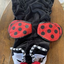 Ladybug Dog Costume