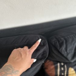 2 couches 2 rugs 