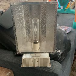 Halogen Grow Lights Five Of Them