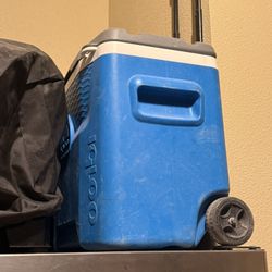 Igloo Cooler 