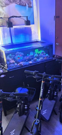 37g frag tank. Stand sump