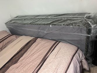 FREE King box spring