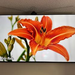 TV 65 Inch Bravia 3 LED 4K